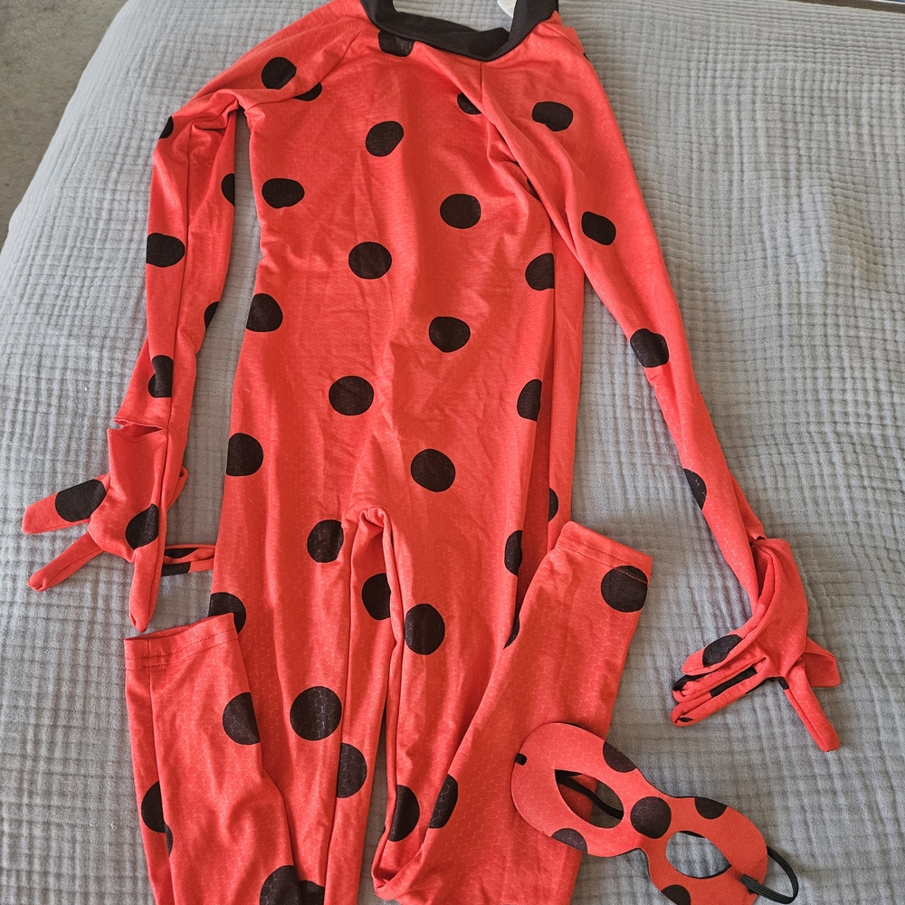 Red and Black Polka Dot Costume with Mask